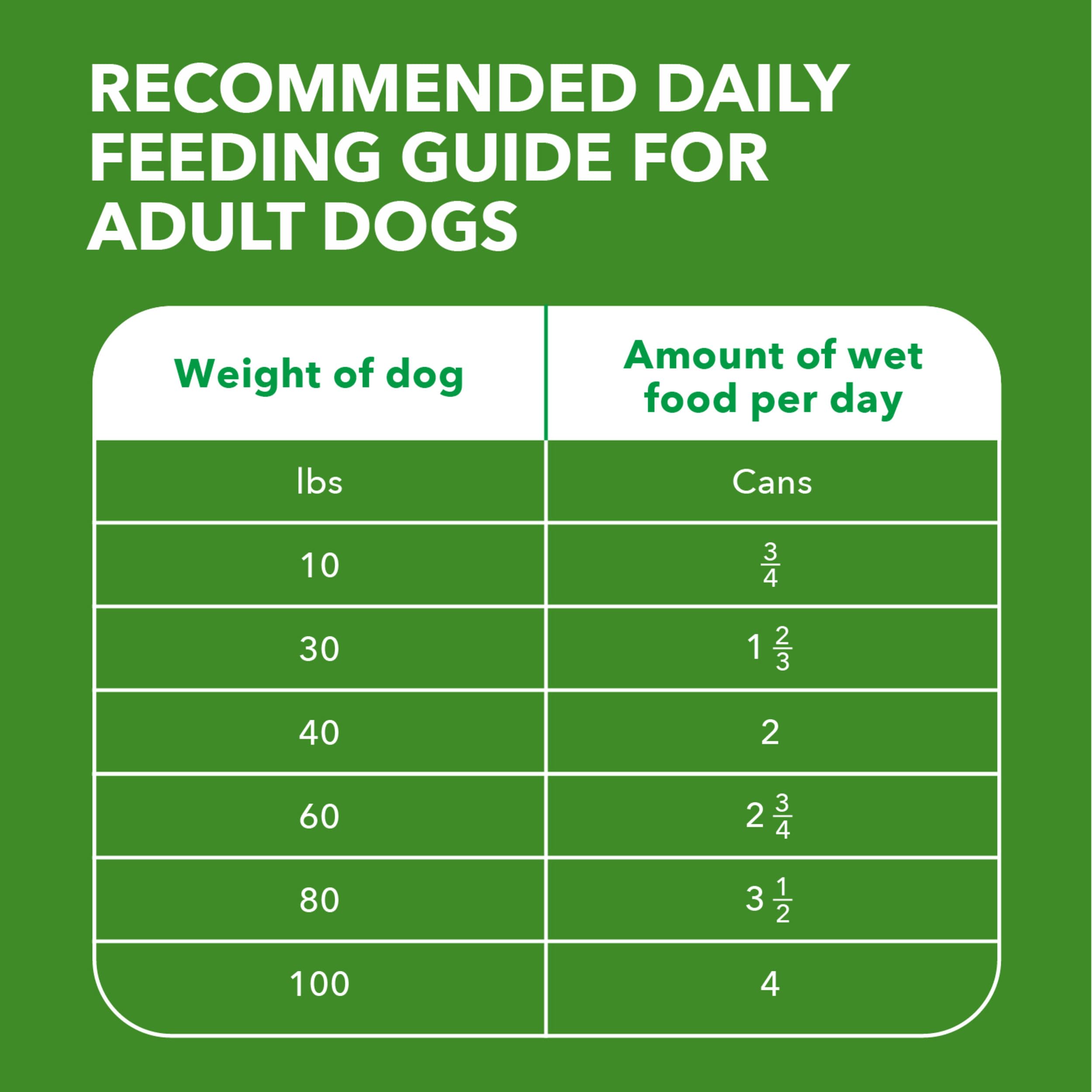 Texture pâté IAMS Proactive Health, agneau et riz pour chien adulte