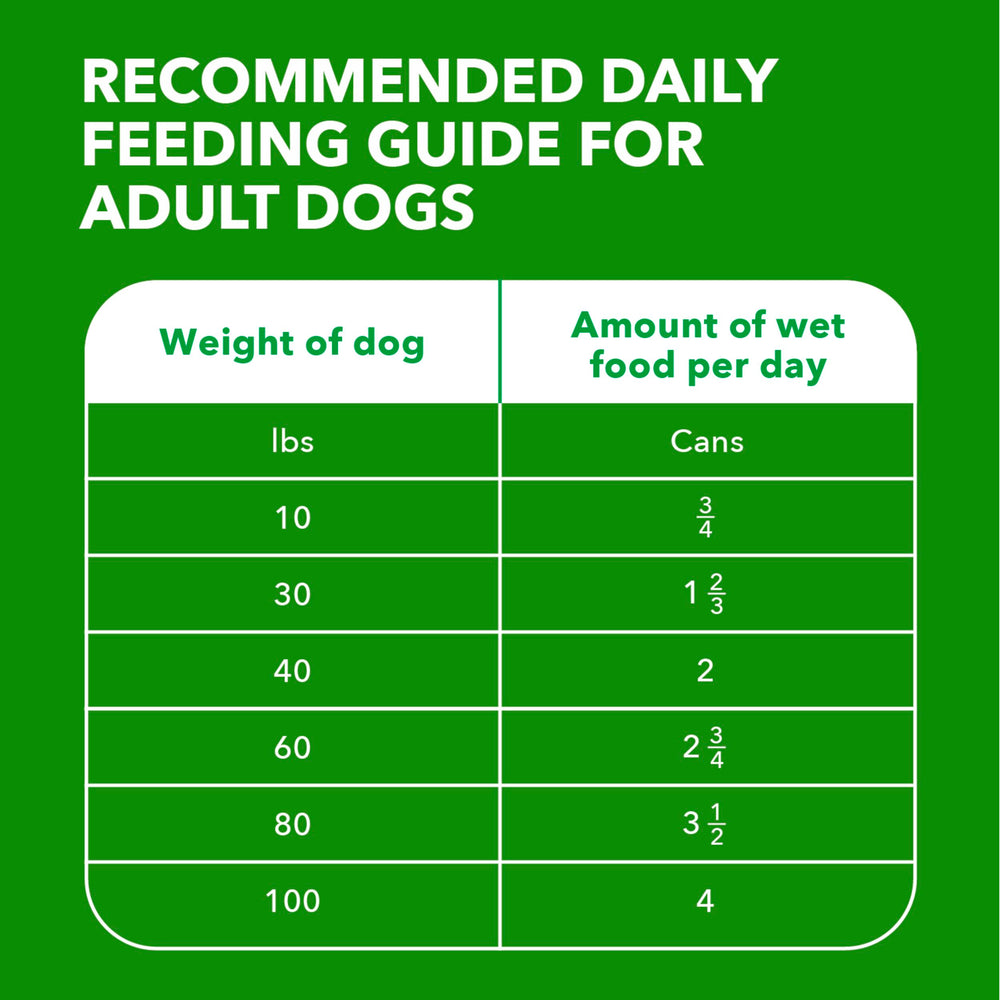 Texture pâté IAMS Proactive Health, agneau et riz pour chien adulte