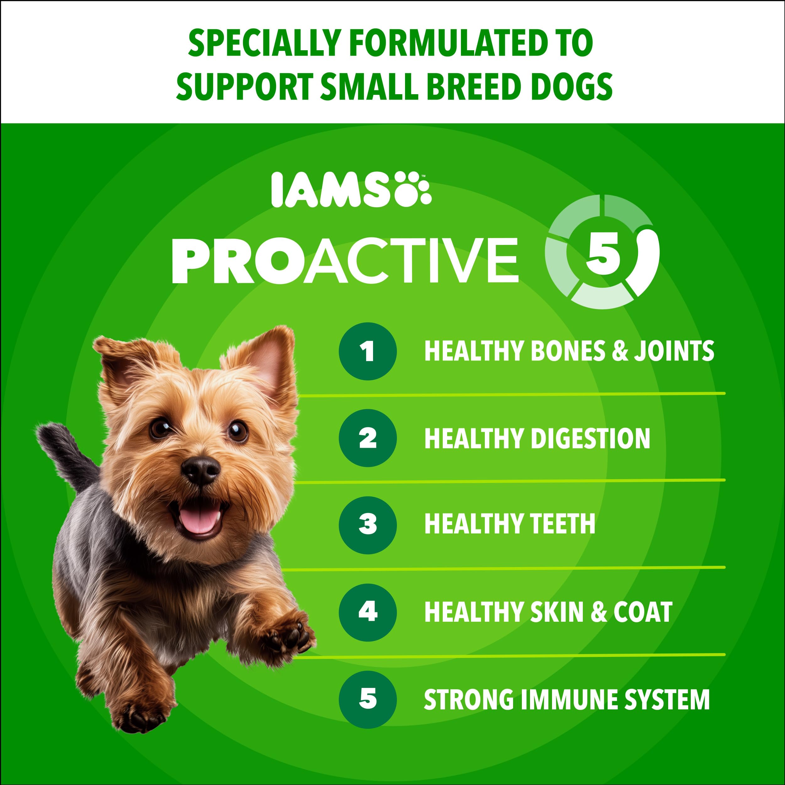 IAMS Proactive Health Petite Race – sac 5-lb pratique pour petite race.