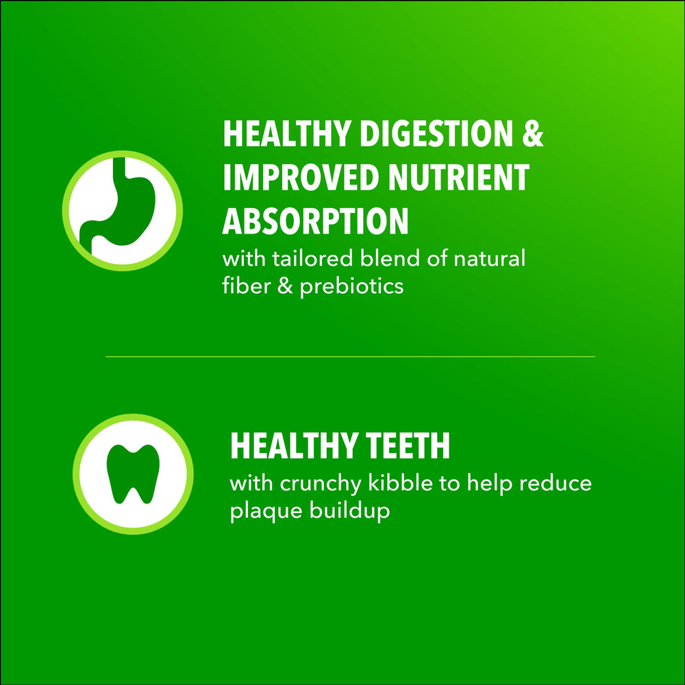 IAMS Proactive Health Petite Race – sans additifs artificiels, ingrédients naturels.