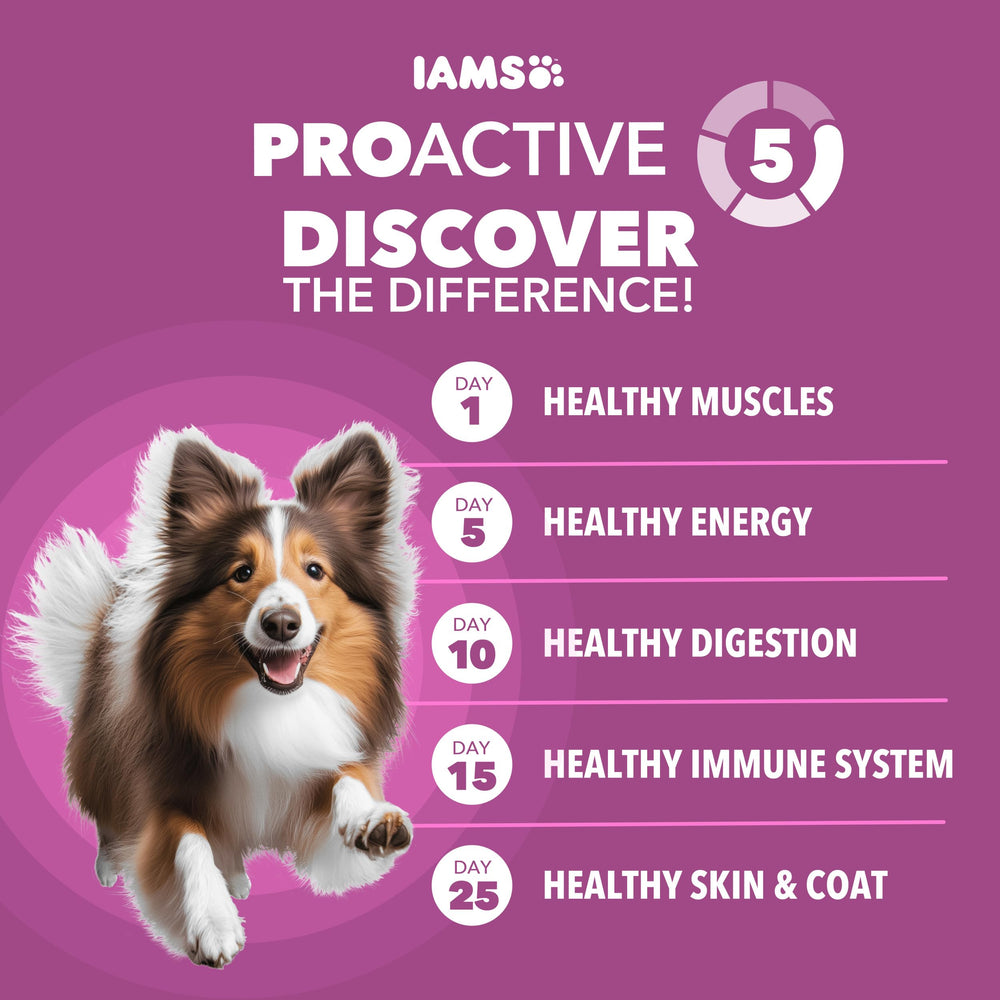 IAMS Proactive Health poulet réel comme ingrédient principal, recette savoureuse