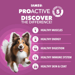 IAMS Proactive Health poulet réel comme ingrédient principal, recette savoureuse