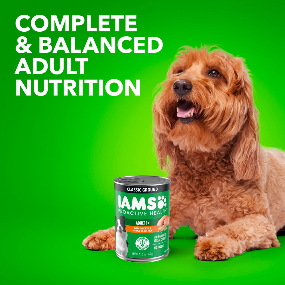 IAMS Proactive Health – idéal pour alimentation quotidienne du chien.