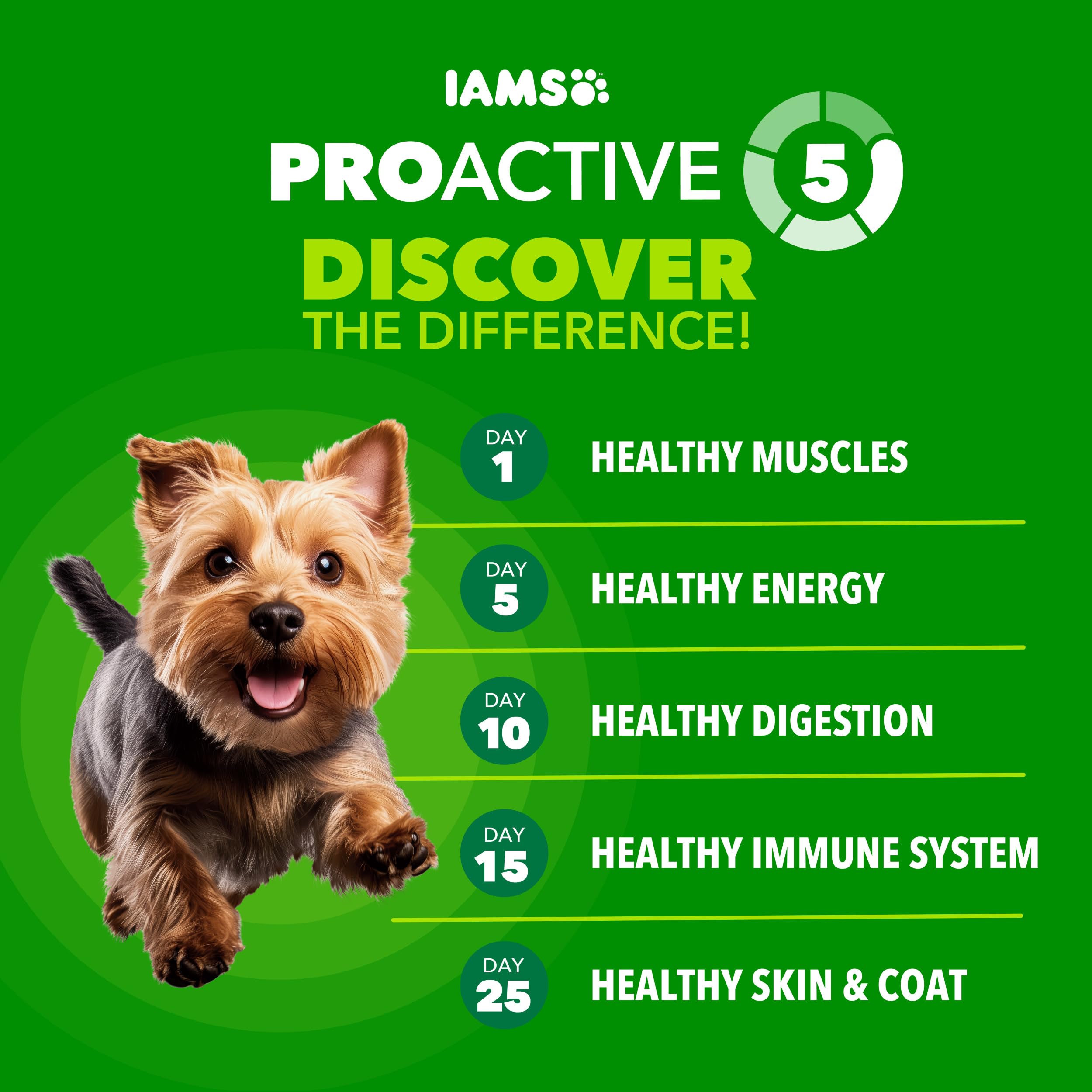 IAMS Proactive Health premier ingrédient poulet, source naturelle de protéines.