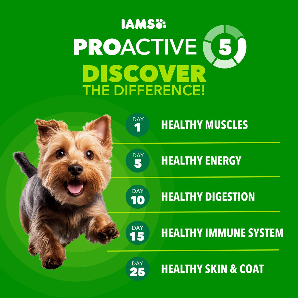 IAMS Proactive Health premier ingrédient poulet, source naturelle de protéines.