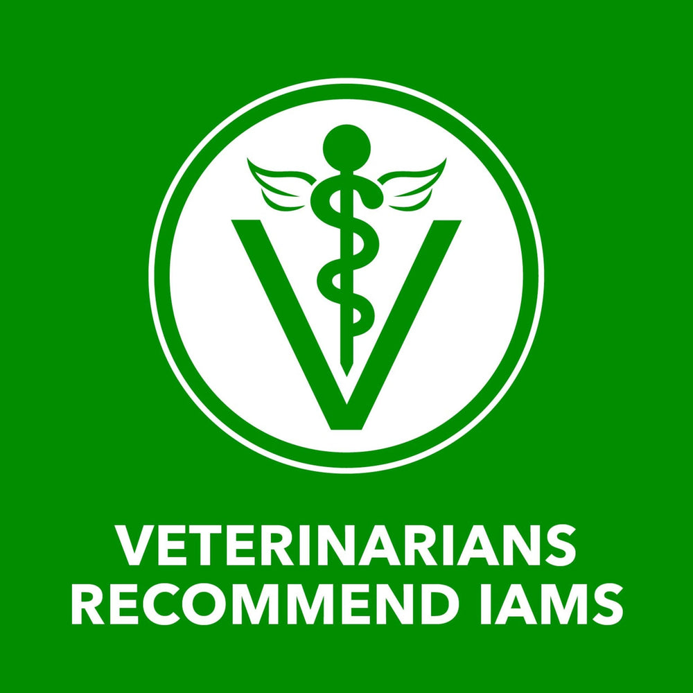 Protéines de haute qualité IAMS Proactive Health pour chien adulte.