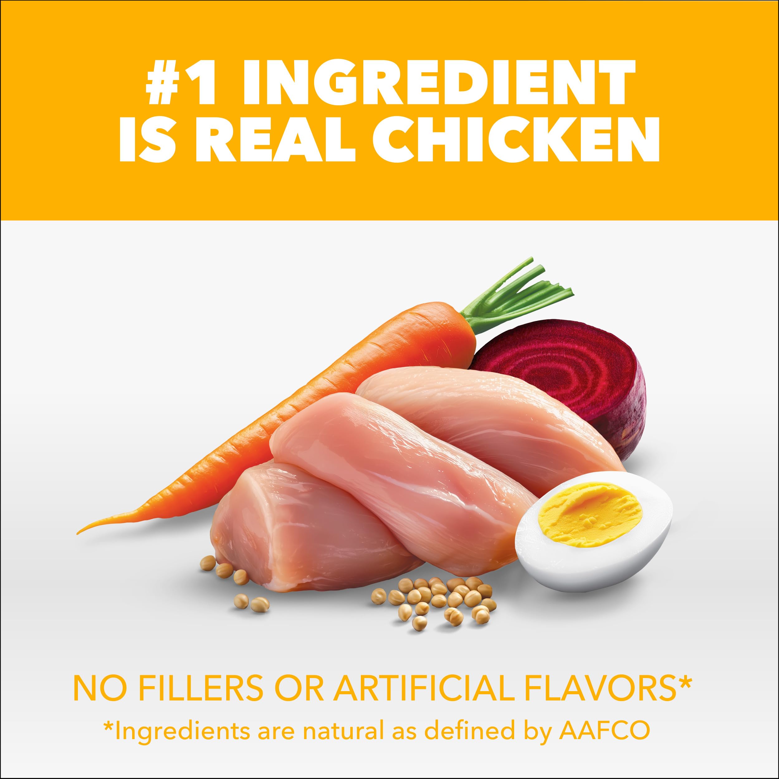IAMS Proactive Health chiot développement cognitif avec DHA Omega-3.