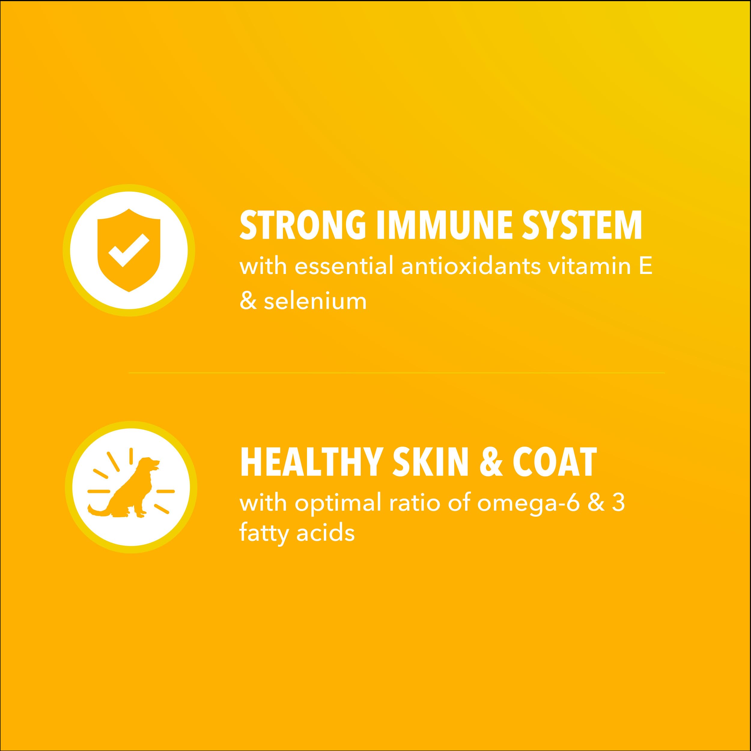 IAMS Proactive Health chiot muscles solides grâce aux protéines de poulet et œufs.