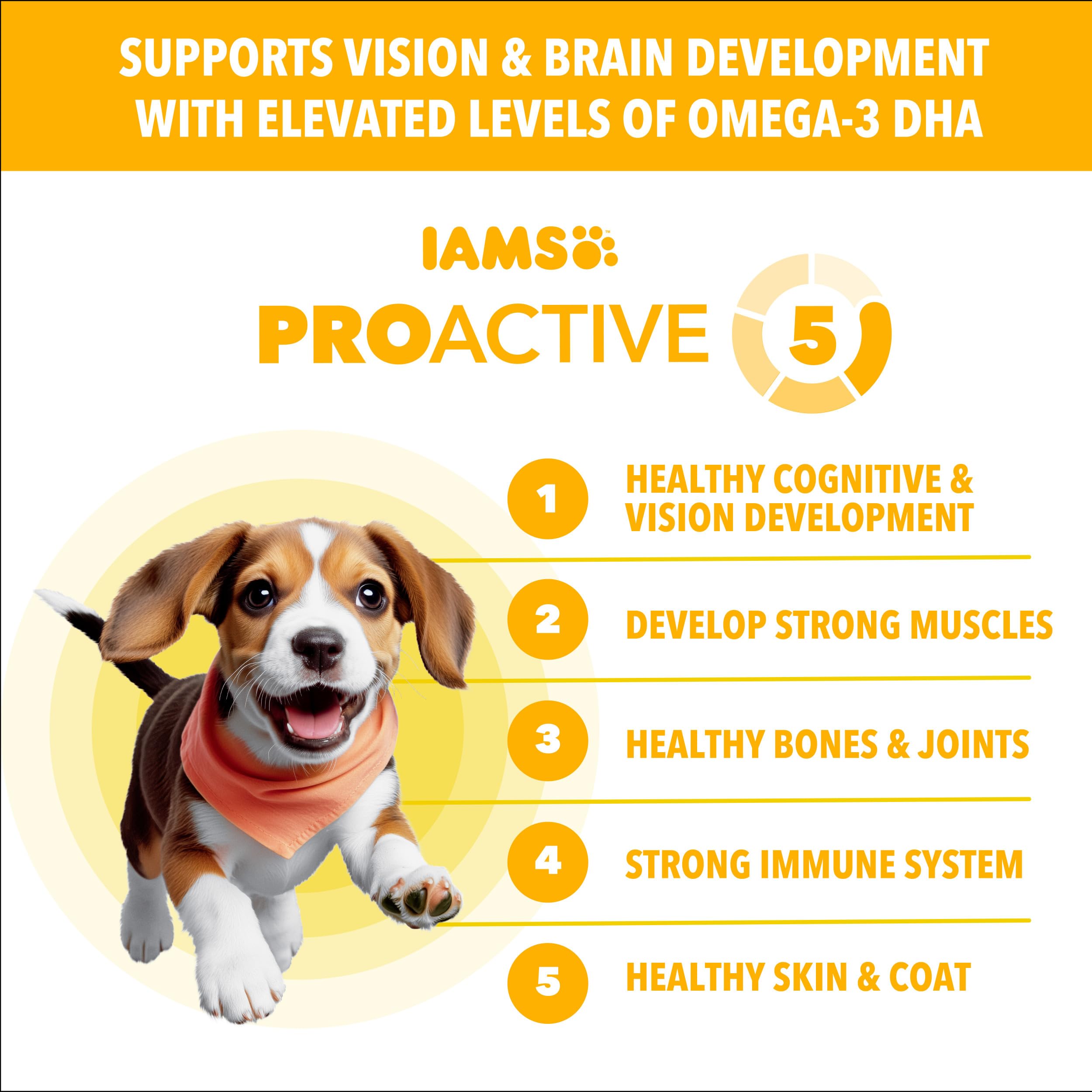 IAMS Proactive Health chiot croquettes soutenant les os et articulations.