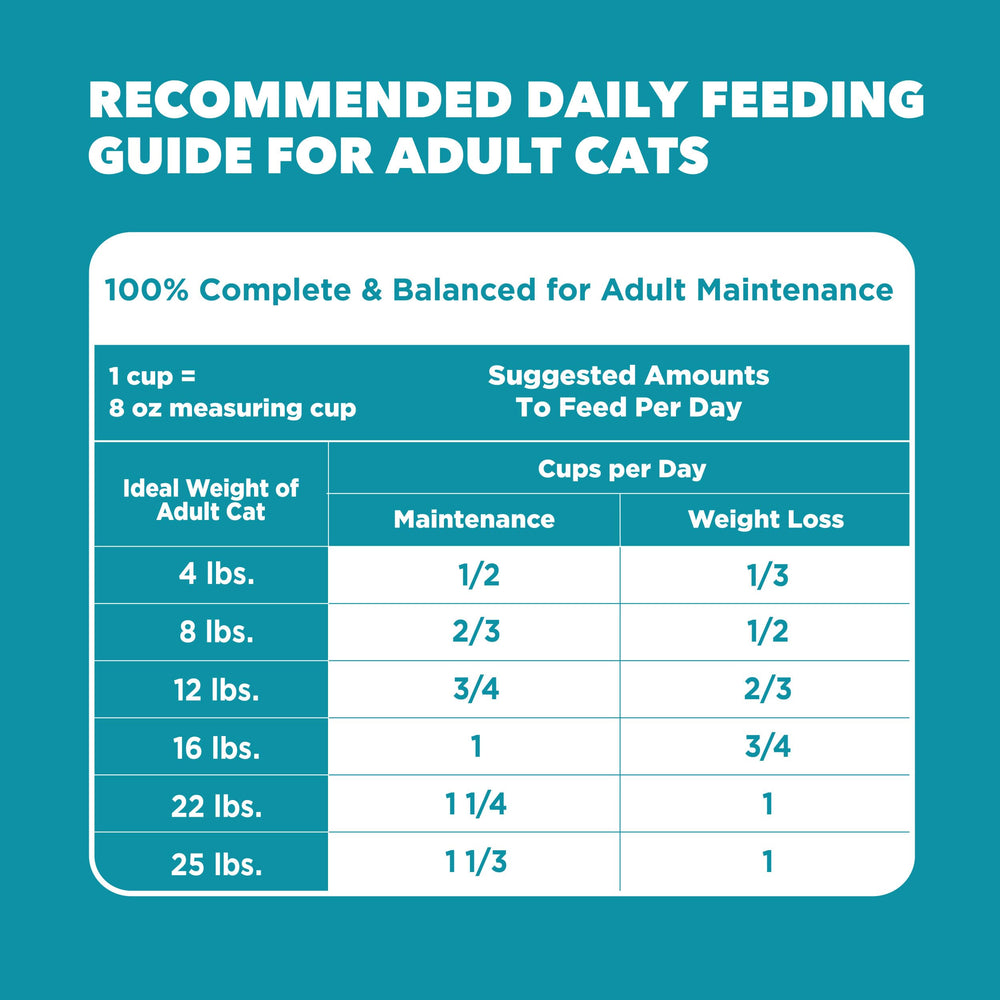 IAMS Proactive Health sac-1-59kg: format pratique pour le quotidien des chats