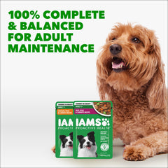 IAMS Proactive Health — sachets variés pour chien adulte bœuf, apport pratique et équilibré.