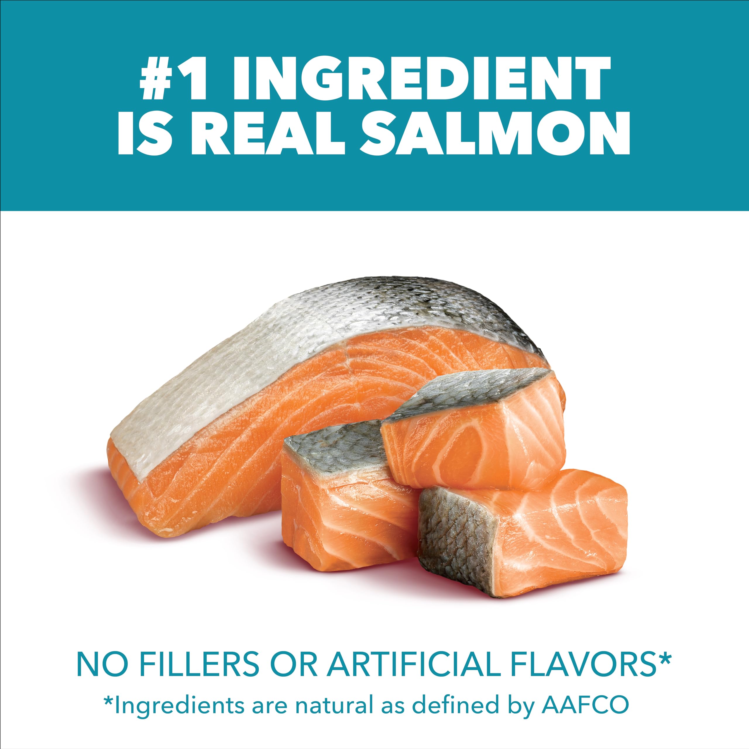 IAMS Proactive Health croquettes saumon, ingrédient principal riche en protéines.