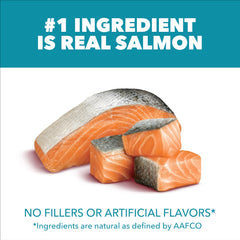 IAMS Proactive Health croquettes saumon, ingrédient principal riche en protéines.