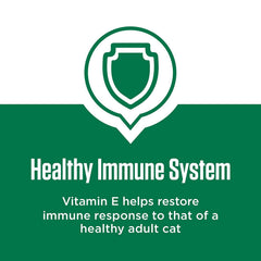 IAMS Proactive Health Senior ingrédients poulet réel, source de protéines de qualité pour chats