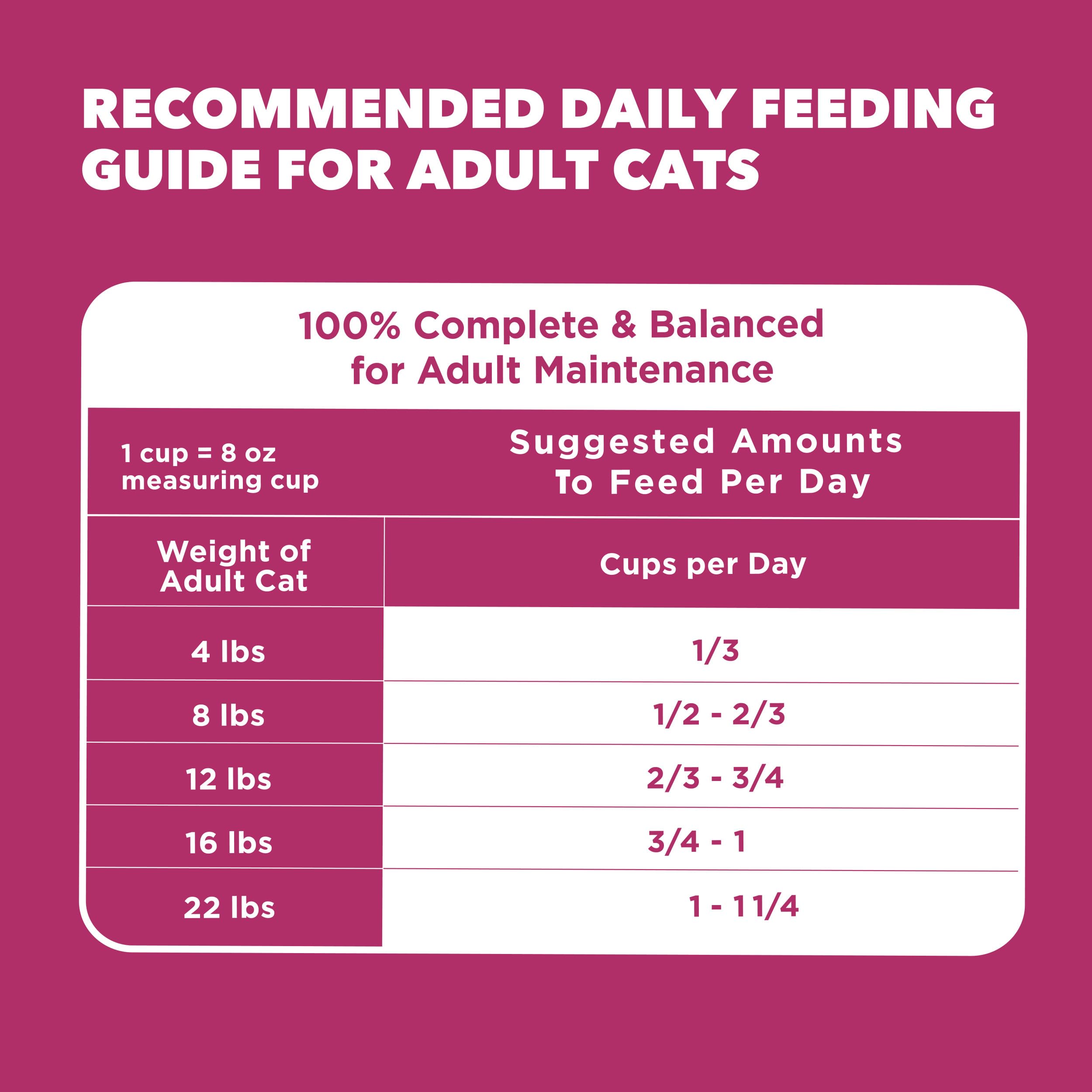 IAMS Proactive Health utilisé quotidiennement pour chats intérieurs et actifs.