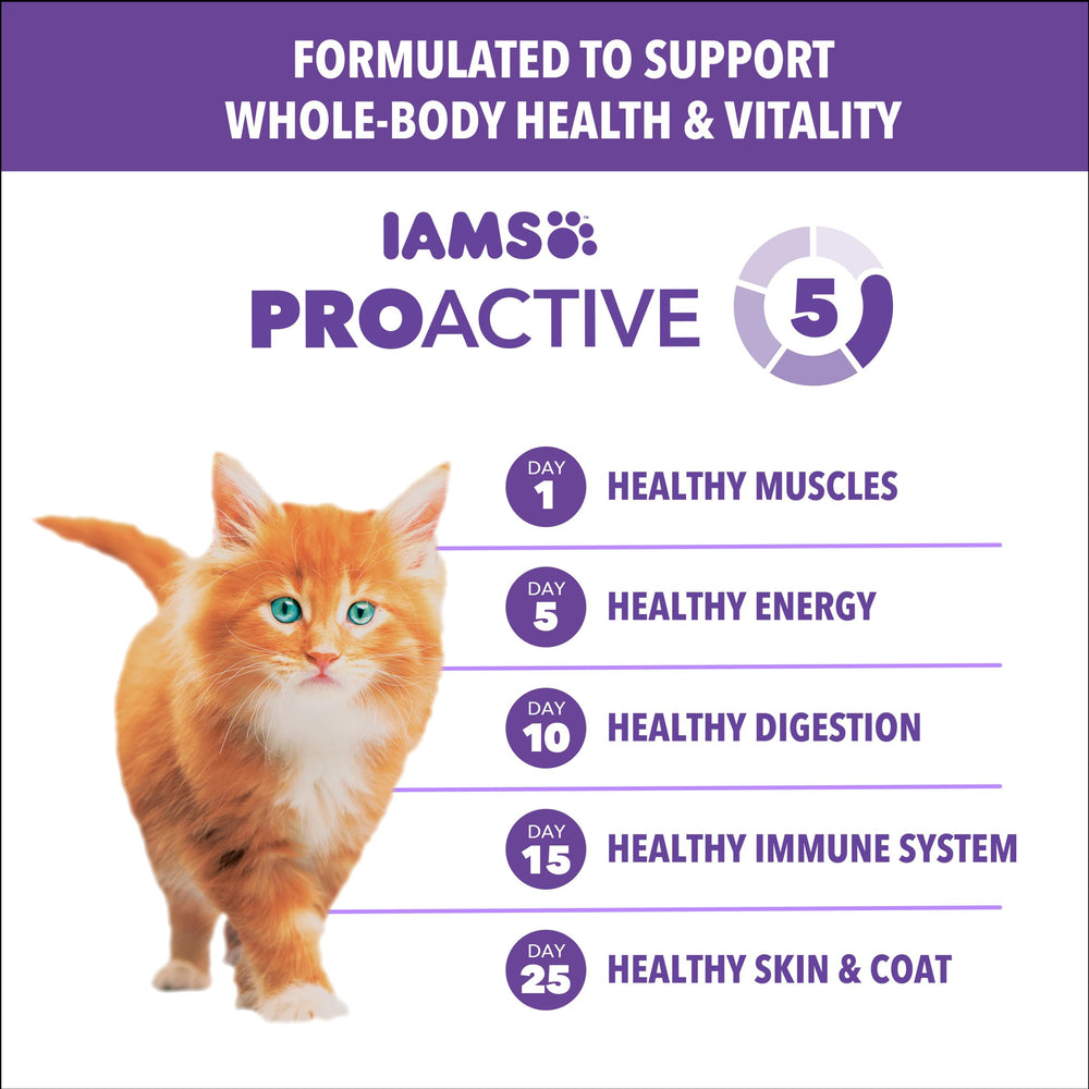 IAMS vitamine E soutient le système immunitaire du chaton