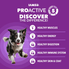 Sac IAMS 2,7 kg prêt pour les repas quotidiens du chien
