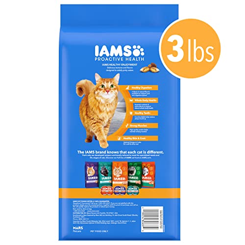 IAMS sachet 1,36 kg pour chat, emballage pratique.