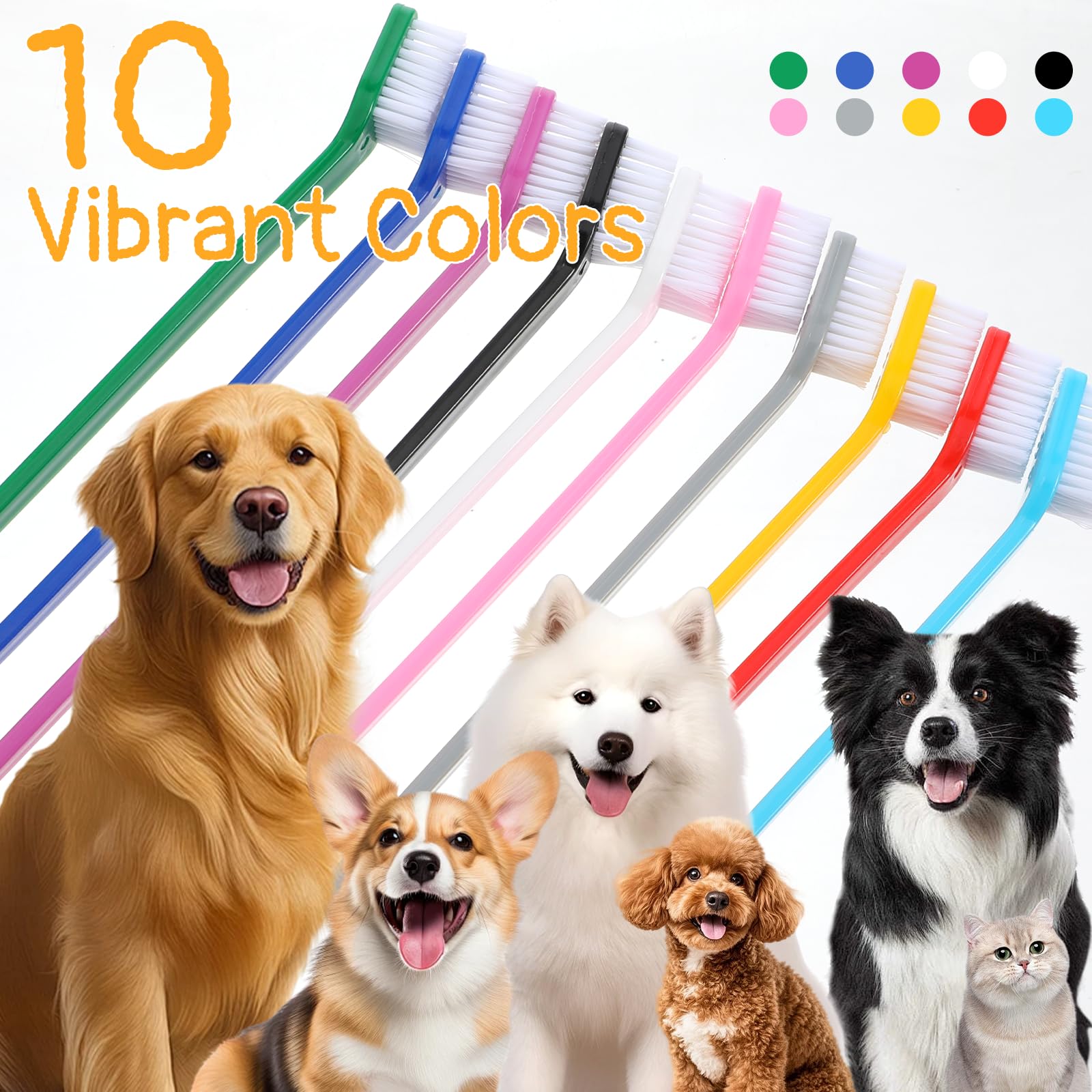 IANFAN brosse-dents chien tete-grande pour grandes races et gencives confortables.