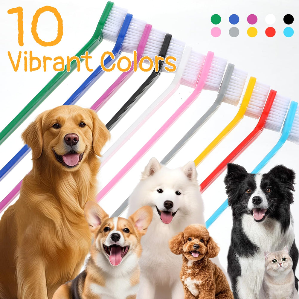 IANFAN brosse-dents chien tete-grande pour grandes races et gencives confortables.