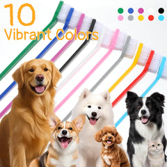 IANFAN brosse-dents chien tete-grande pour grandes races et gencives confortables.