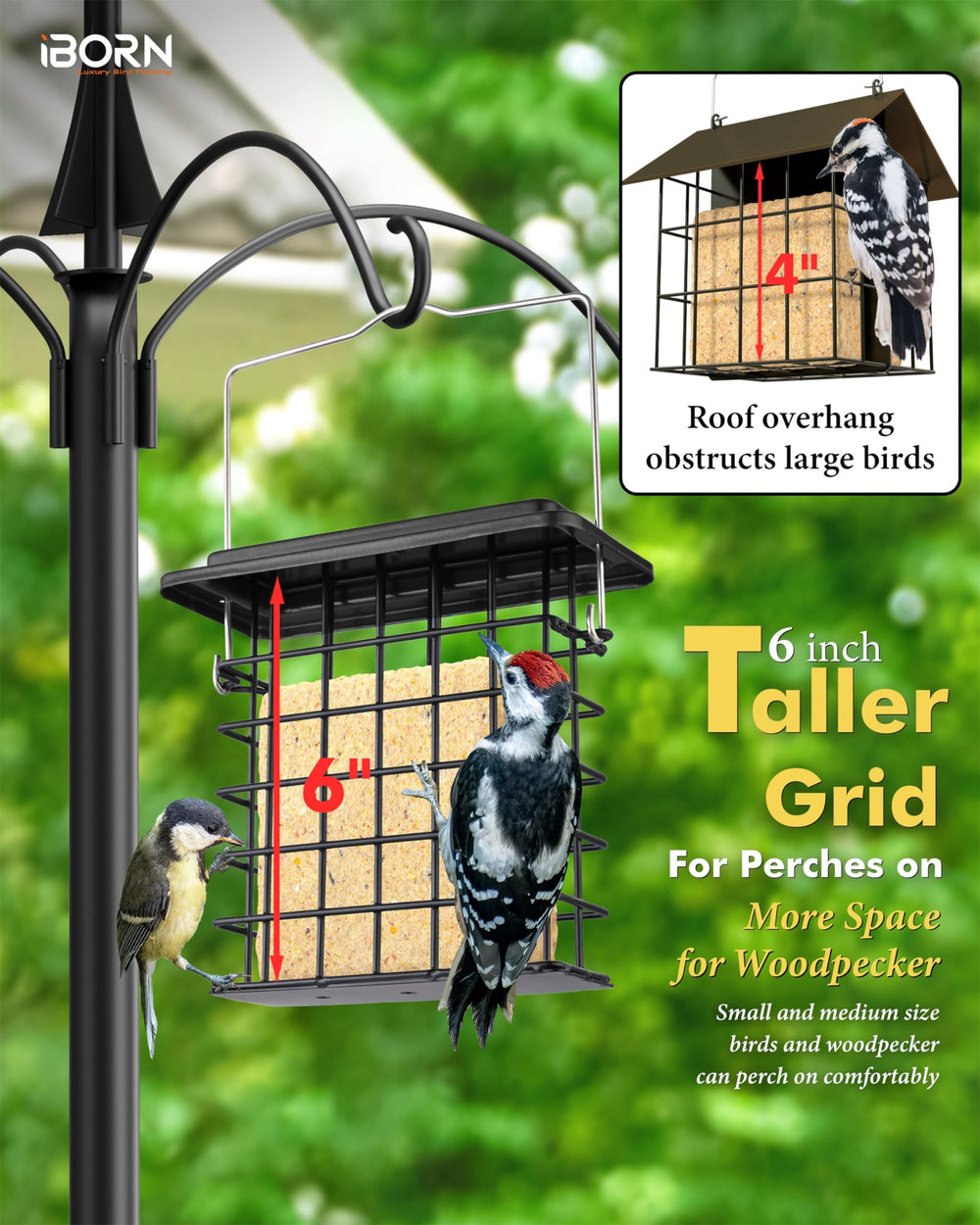 iBorn nourrisseur-suet attire une grande variété d'oiseaux pour votre jardin.