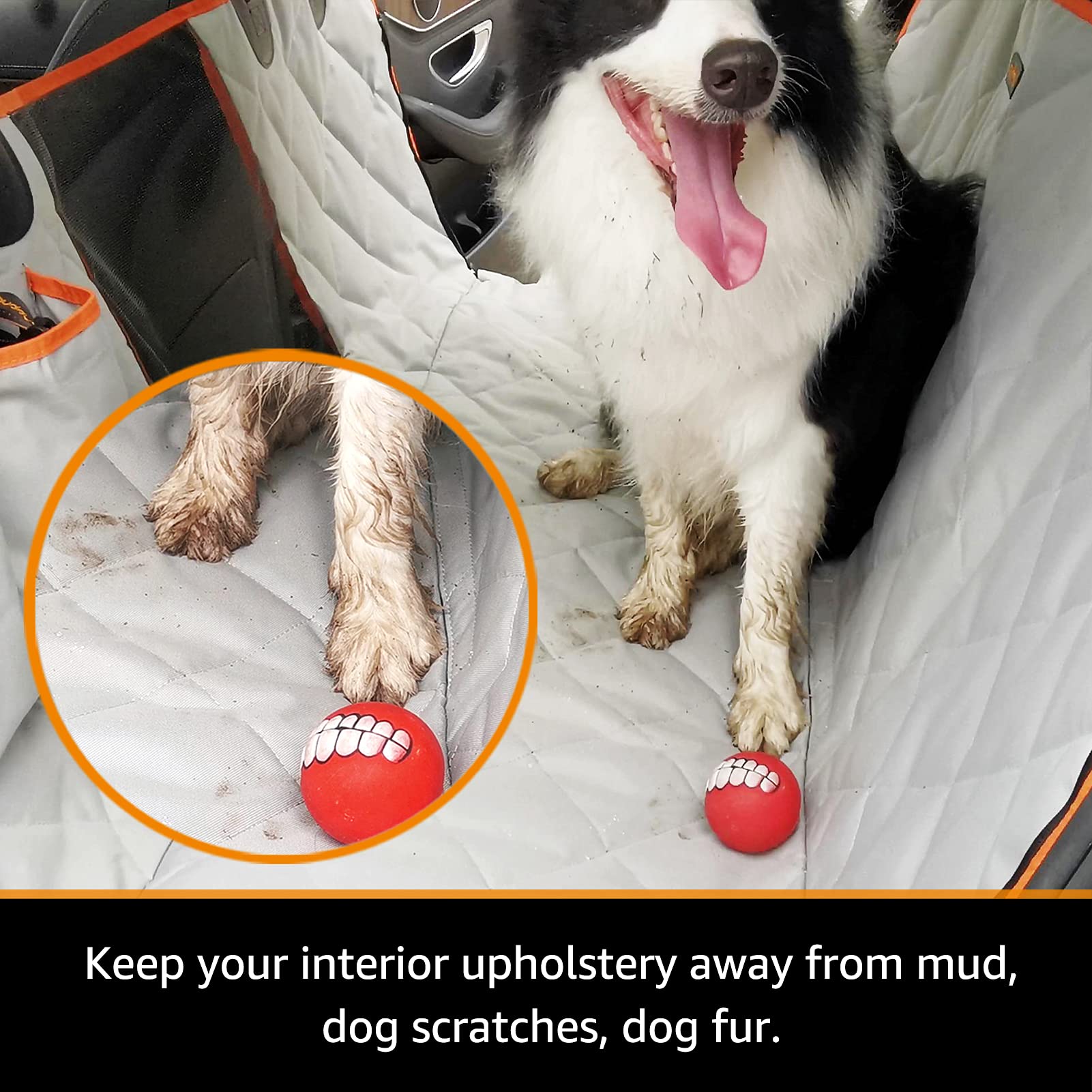 iBuddy installation-rapide-clips: pose facile en moins d'une minute