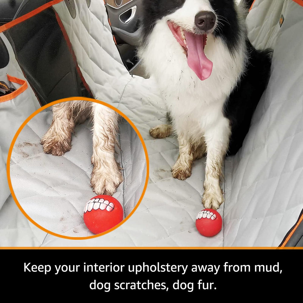 iBuddy installation-rapide-clips: pose facile en moins d'une minute