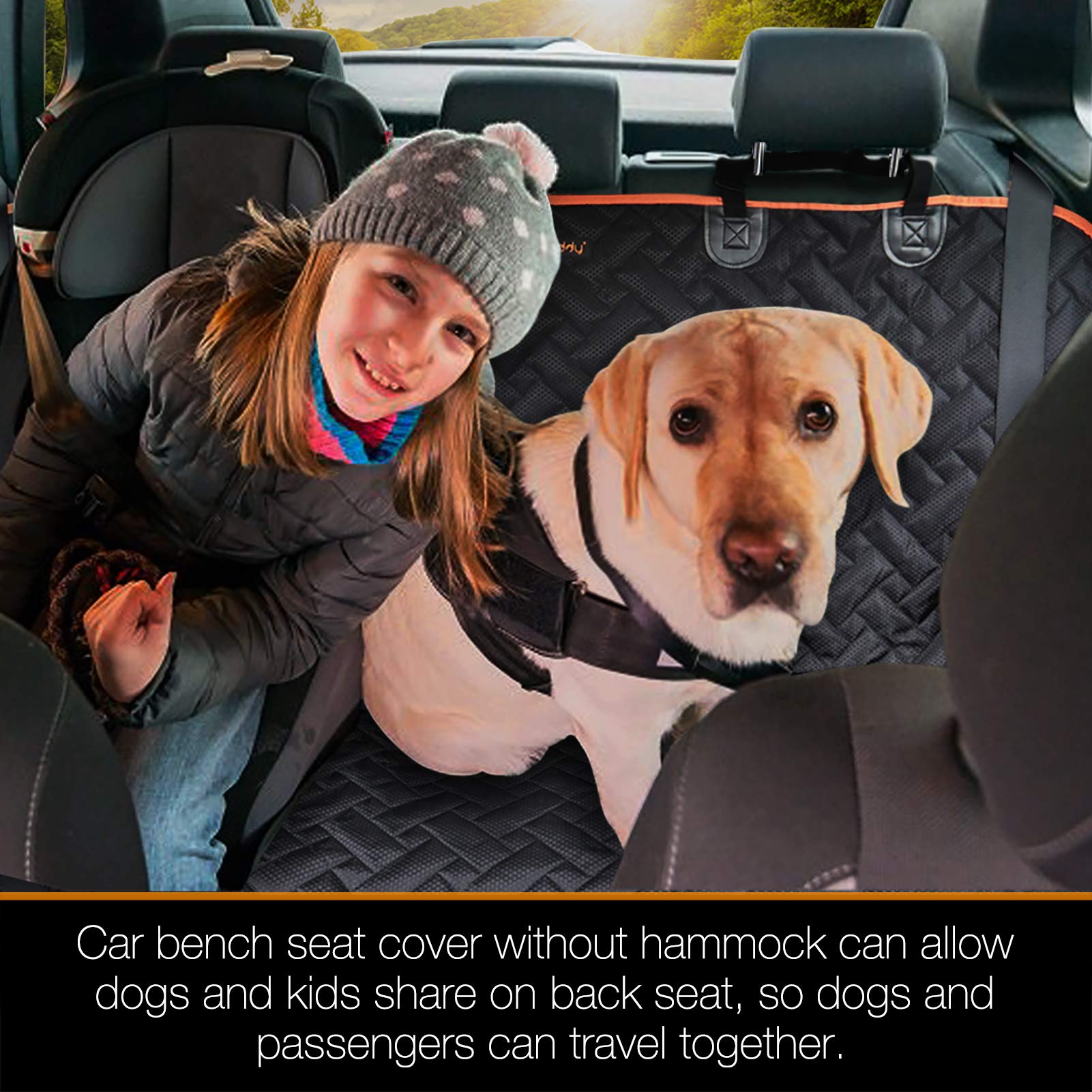 iBuddy protection polyvalente pour chiens, enfants et outils lors des trajets quotidiens.