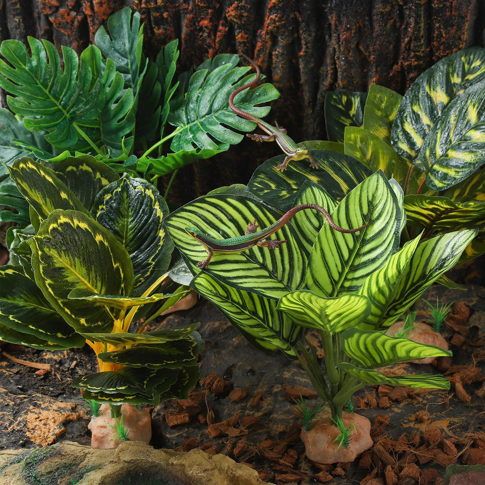 IBWell accessoire habitat reptile terrarium améliore l’aménagement et l’espace.