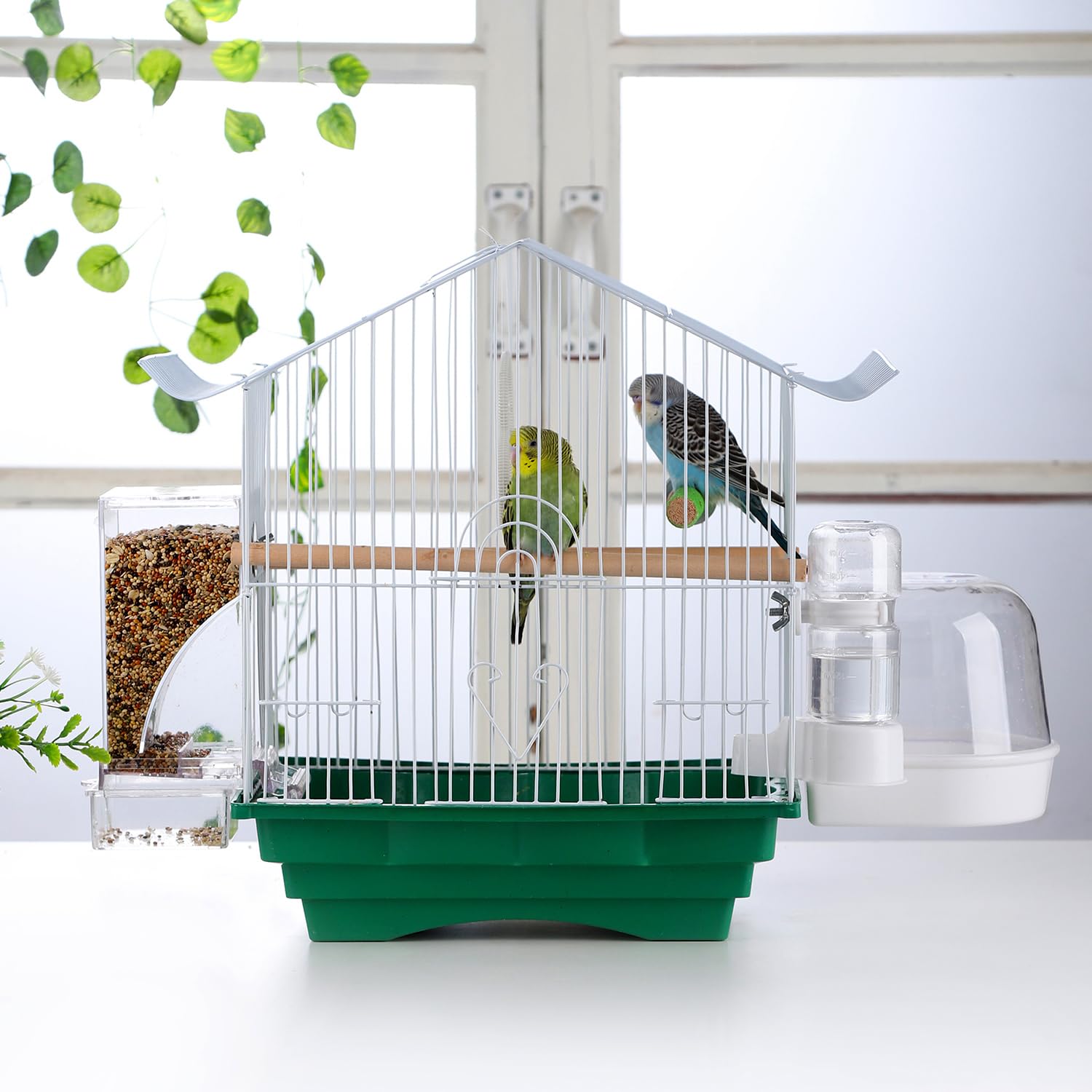 IBWell adapté aux petits oiseaux, idéal pour perruches et canaris.