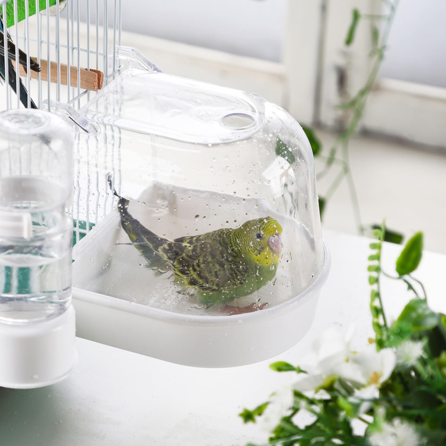 IBWell-bain-oiseaux-petits-montage-cage: installation facile sur une cage cube.