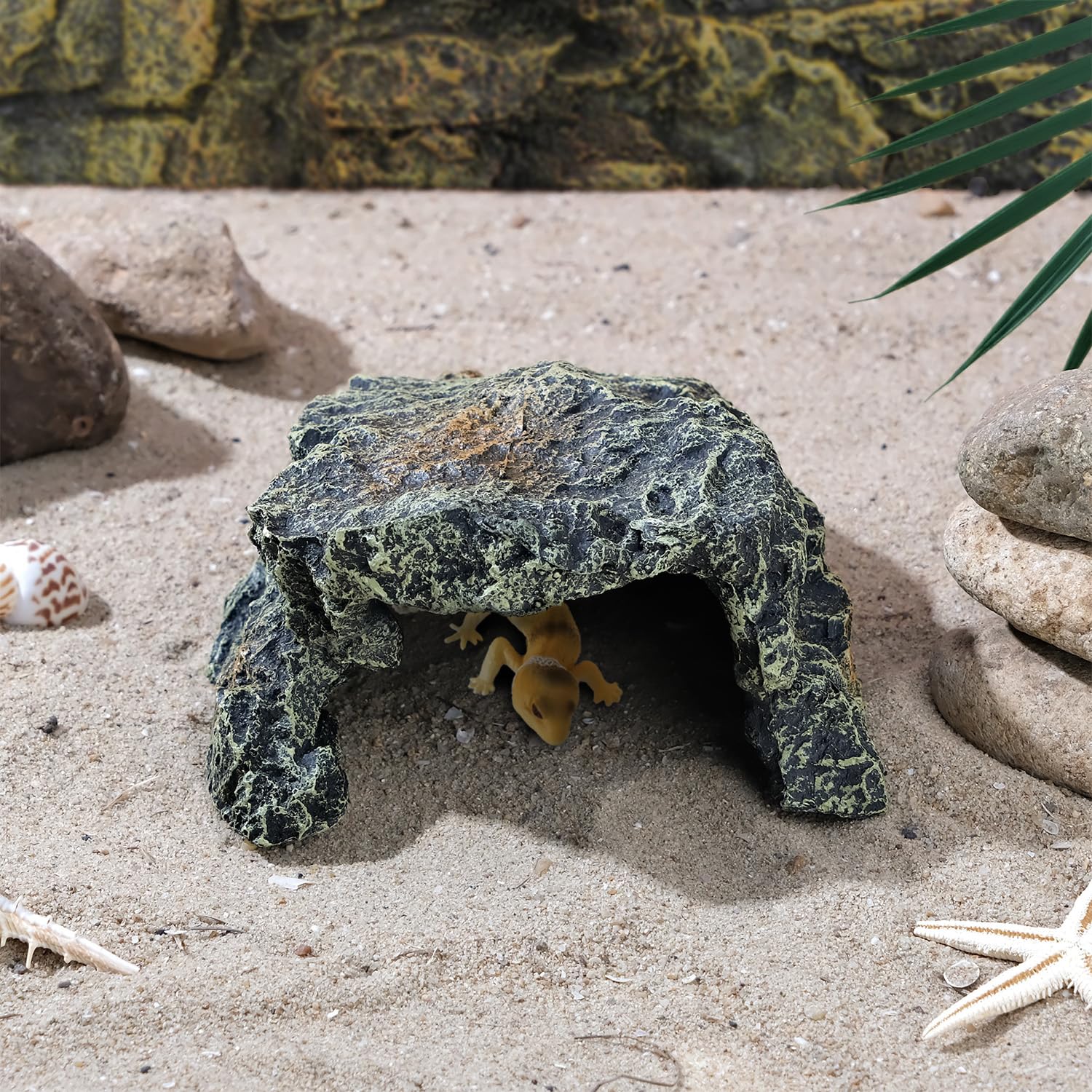 IBWell Base Grotte Reptile, stabilité renforcée dans le terrarium.