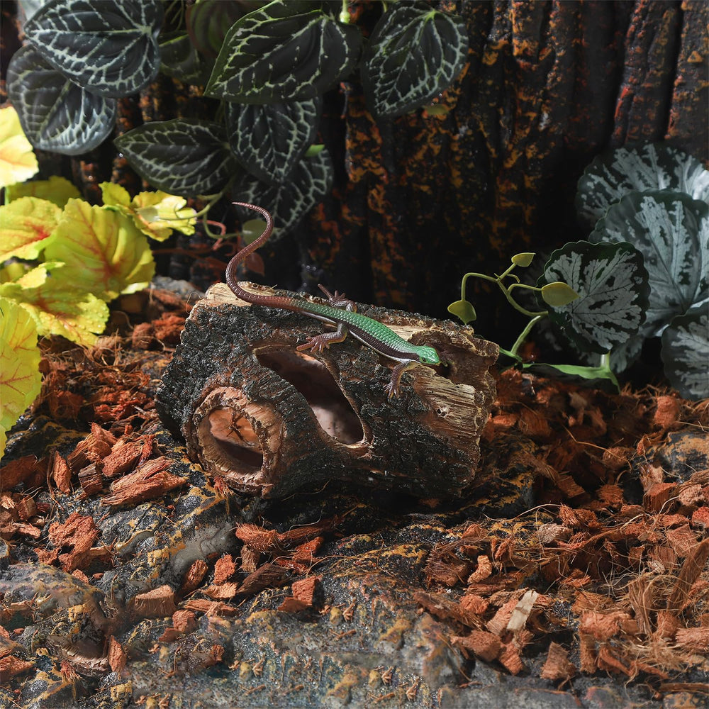 IBWell bords arrondis pour un habitat sûr et sans arêtes.