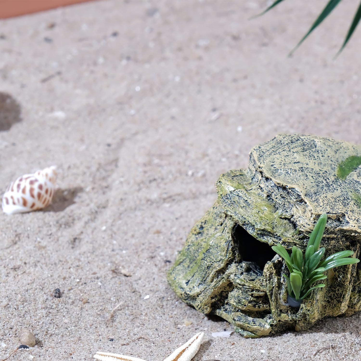 IBWell cachette-leopard-gecko-caverne-tortue offre un espace privé pour reptiles.