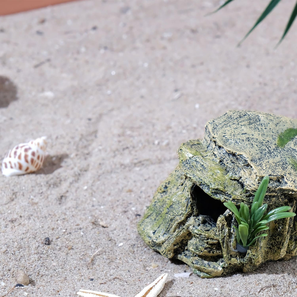 IBWell cachette-leopard-gecko-caverne-tortue offre un espace privé pour reptiles.