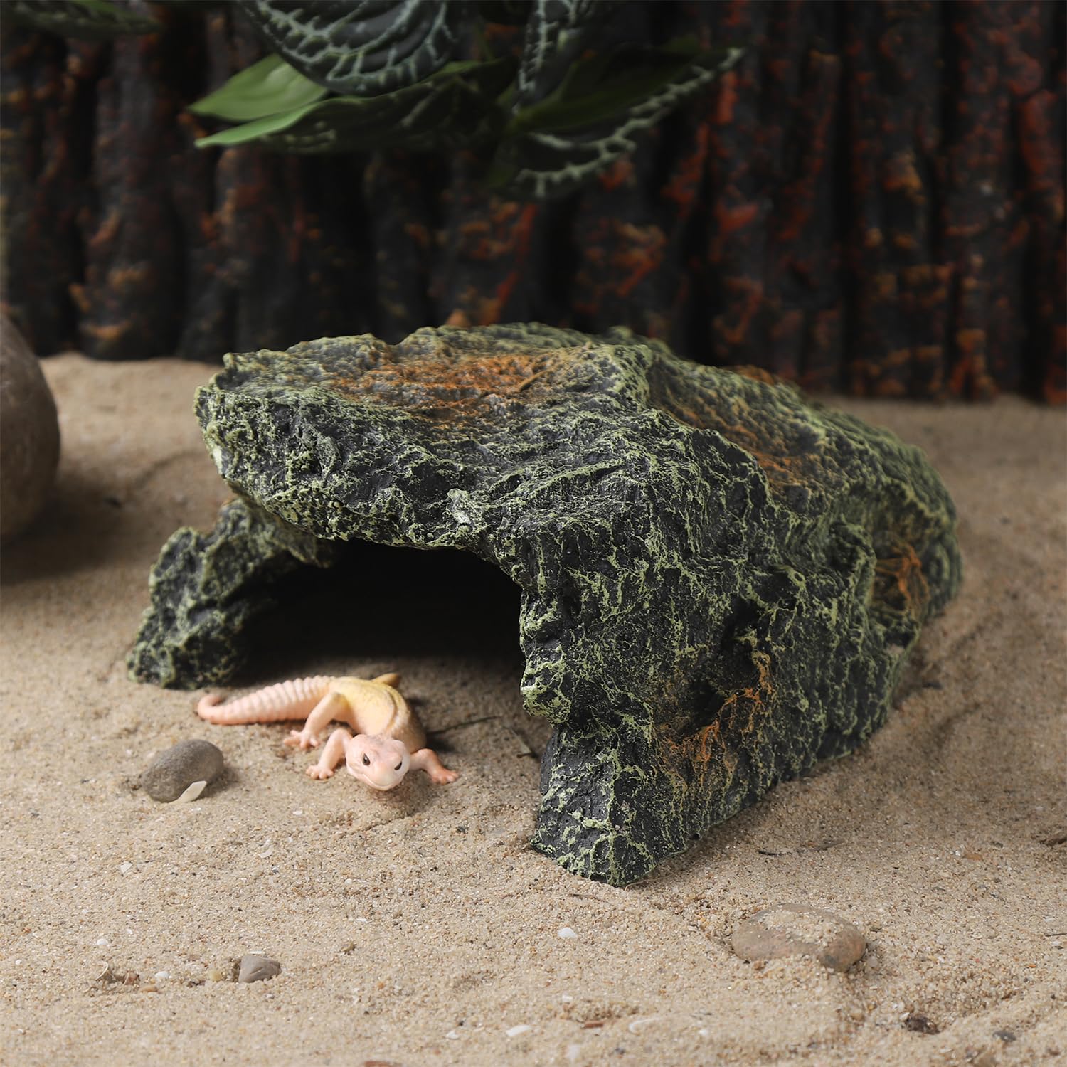 IBWell Cachette Tortue Petite, endroit caché pour repos et observation.