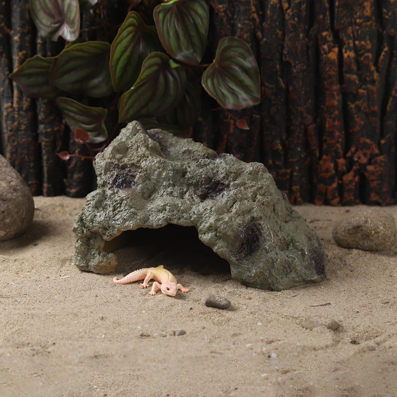 IBWell décor-terarium-serpent-ball-python, offre un refuge sûr dans le terrarium.