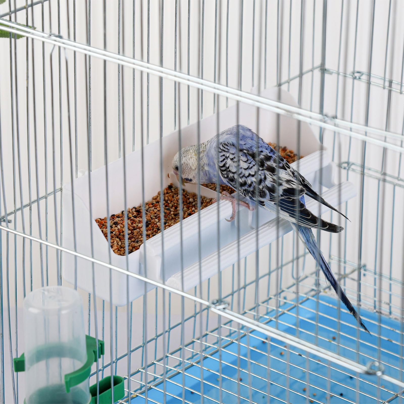 IBWell dimensions idéales pour petits et moyens oiseaux