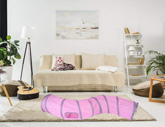 iCAGY tunnel-chat-interieur-interactif: jeu intérieur stimulant pour chats et chatons.