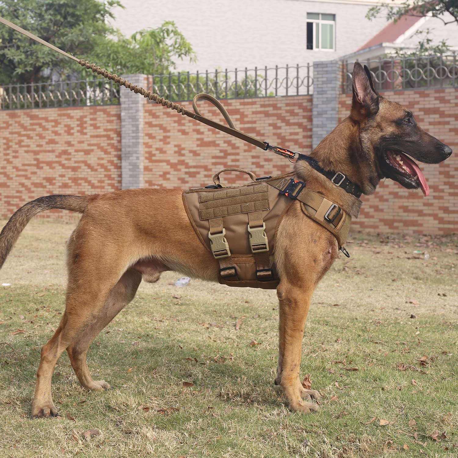 ICEFANG GN3 harnais tactique vue latérale droite avec système MOLLE pratique.