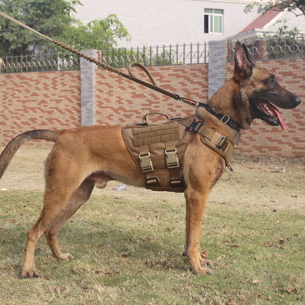 ICEFANG GN3 harnais tactique vue latérale droite avec système MOLLE pratique.