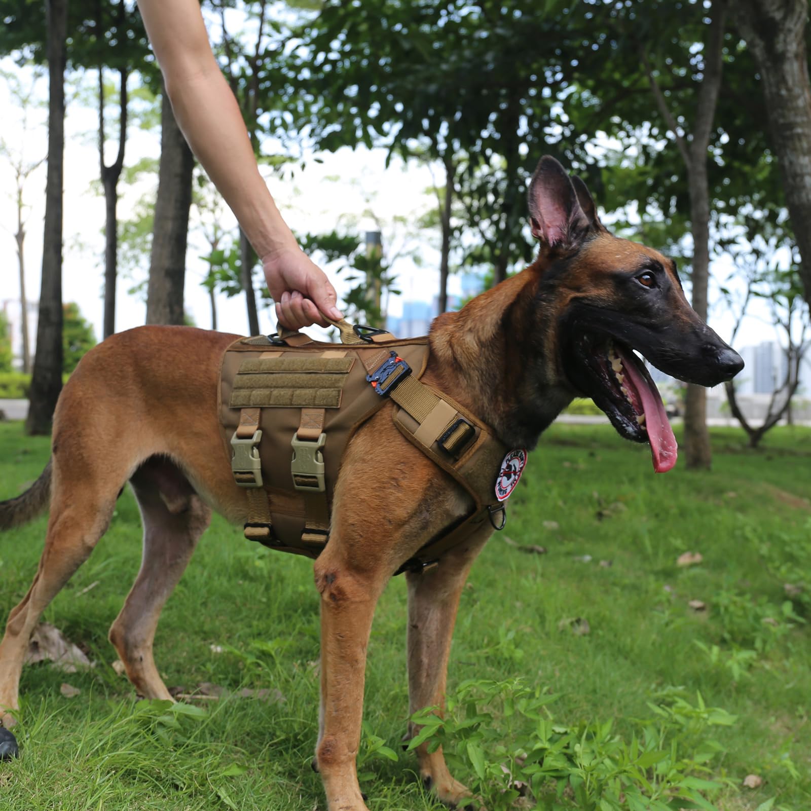 ICEFANG GN3 systeme MOLLE-PALS harnais compatible pour accessoires