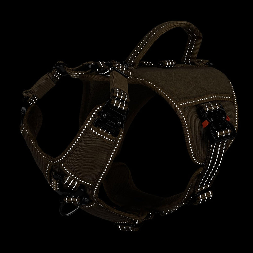 ICEFANG GN8 harnais avec panneau Loop pour identification rapide.