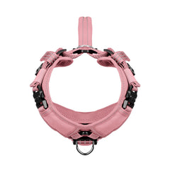 ICEFANG harnais design Y sur poitrine, padding confortable pour chien.