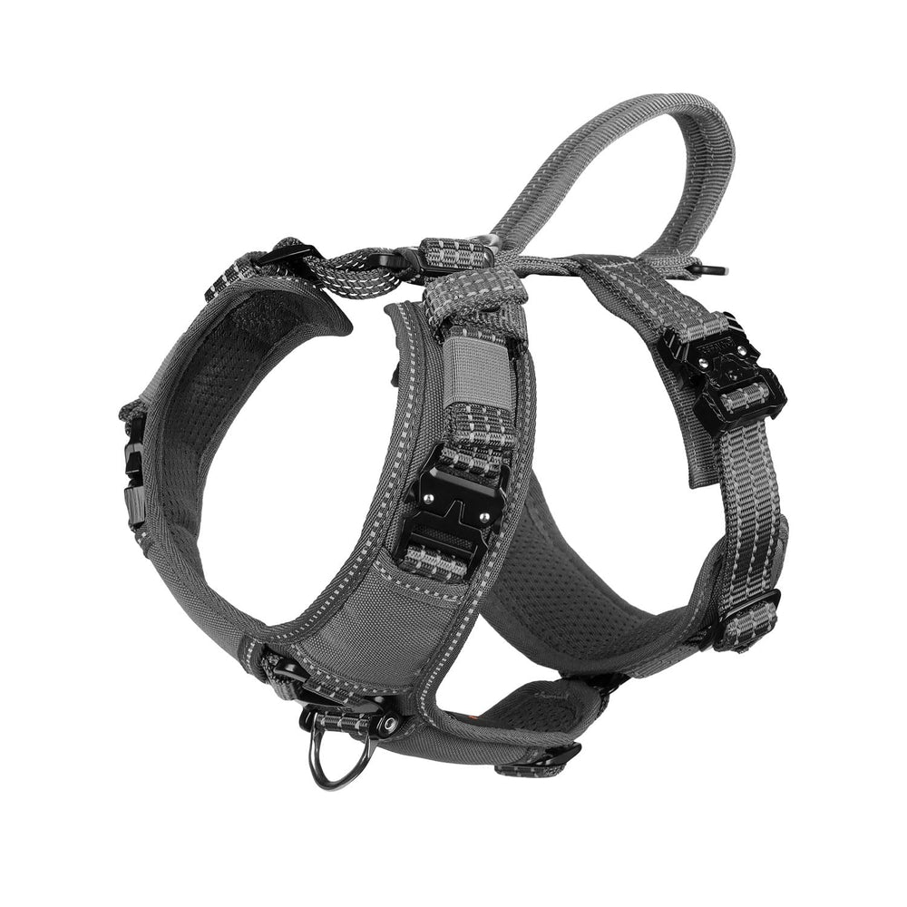 ICEFANG harnais chien avec quincaillerie tout métal, durabilité accrue.