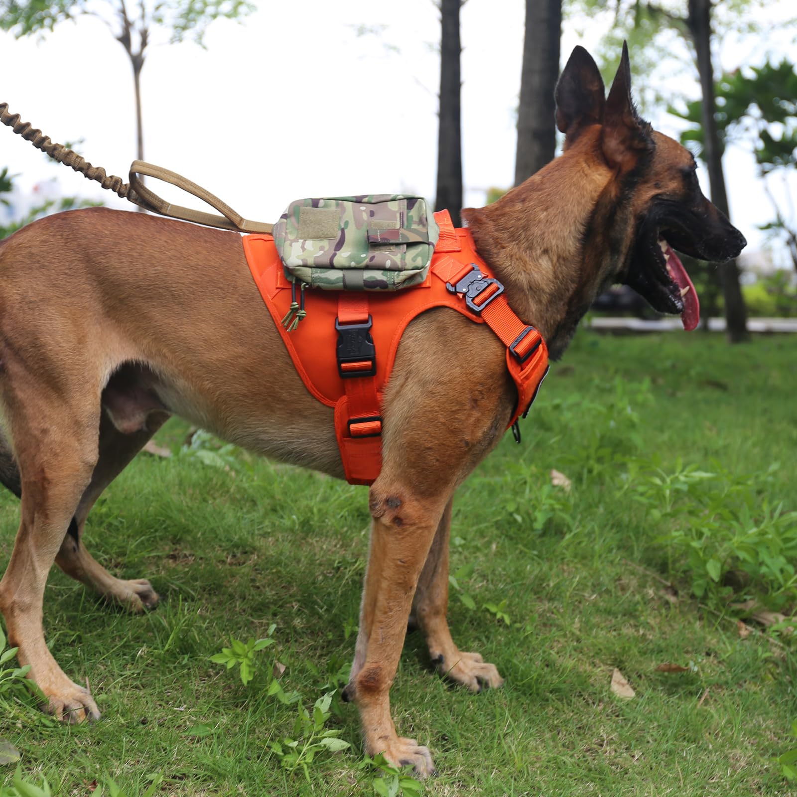 Harnais ICEFANG poignée avant, idéal pour guider votre chien dans les passages étroits