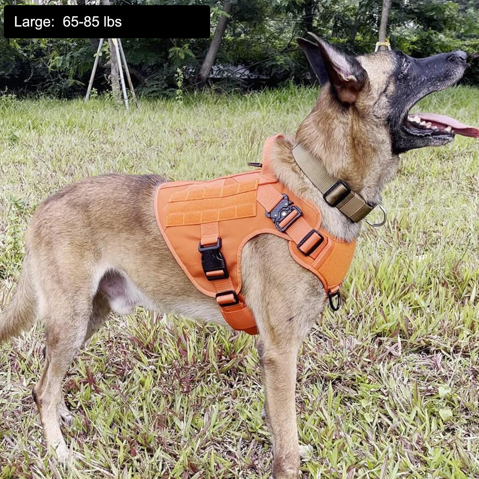 Harnais ICEFANG montre le système molle-pal pour transporter des accessoires pendant l'entraînement