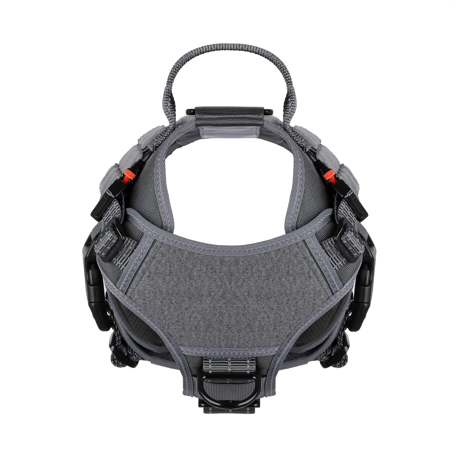 ICEFANG harnais tactique – panneaux MOLLE latéraux et possibilités d’accessoires