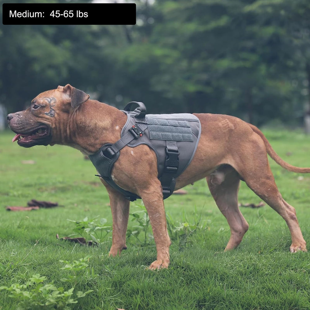 ICEFANG harnais tactique pour chien moyen – vue arrière et sangles renforcées